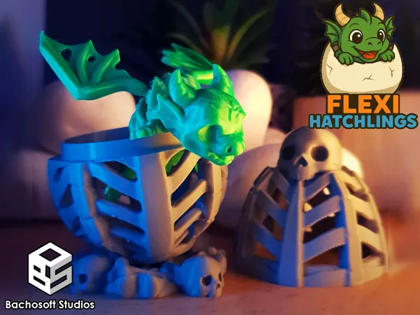 https://makerworld.bblmw.com/makerworld/model/US60dea8bef35b4c/design/2025-09-06_109a863a18299.jpg