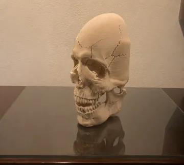 Pieza para disfraz o exhibición: SKULL MASK — vista de referencia 3