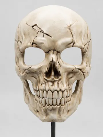 Pieza para disfraz o exhibición: SKULL MASK — vista de referencia 2