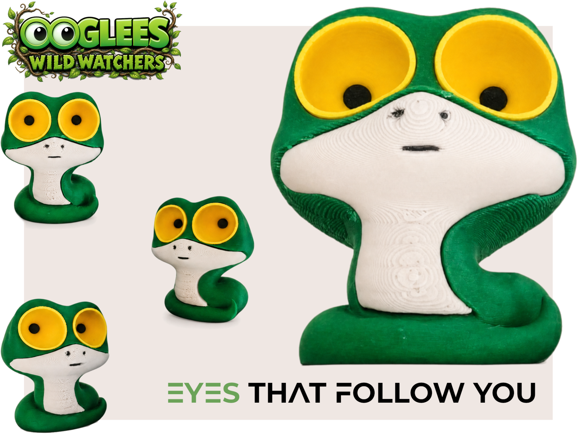OOglees Snake | Wild watchers.