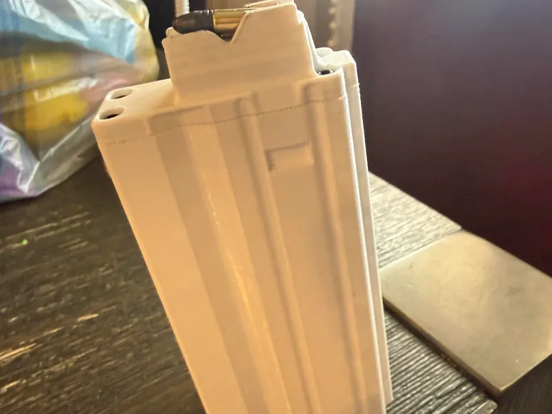 AR 22LR 15-Round Magazine