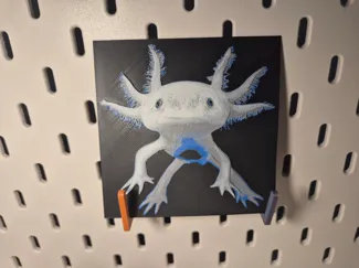 Axolotl Bild