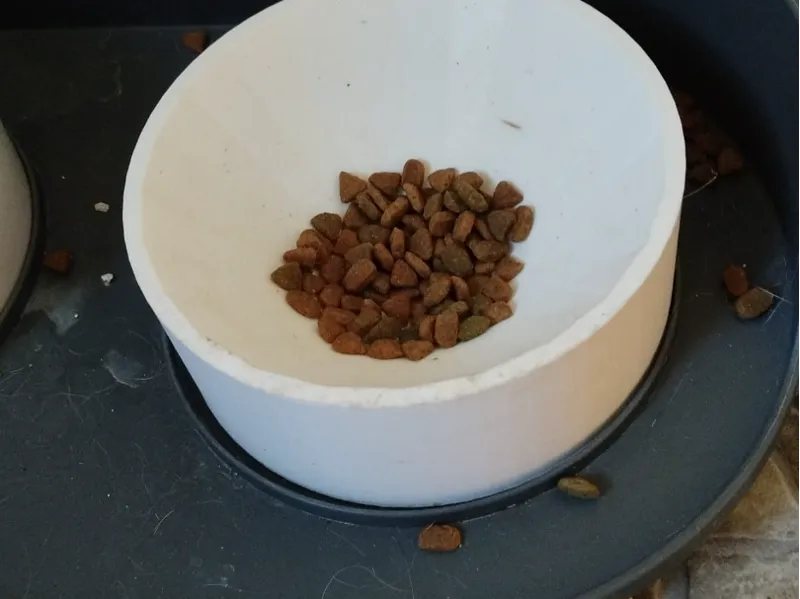 Fressnapf  für Hunde und Katzen, skalierbar