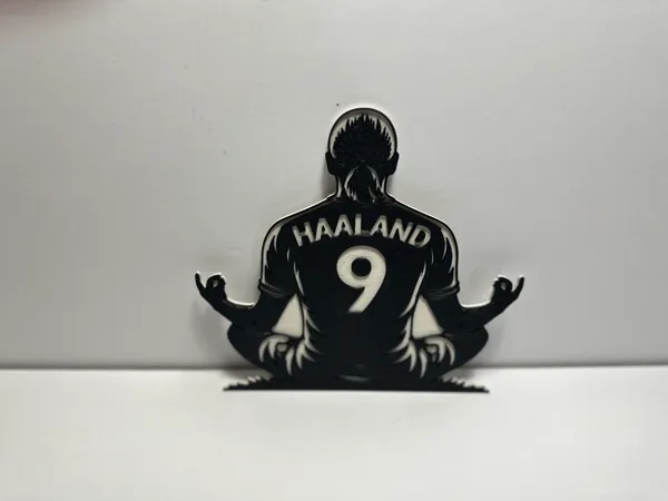 https://makerworld.bblmw.com/makerworld/model/US60f379ccdaebdc/design/2026-01-02_8d03bd0f47dda8.jpg