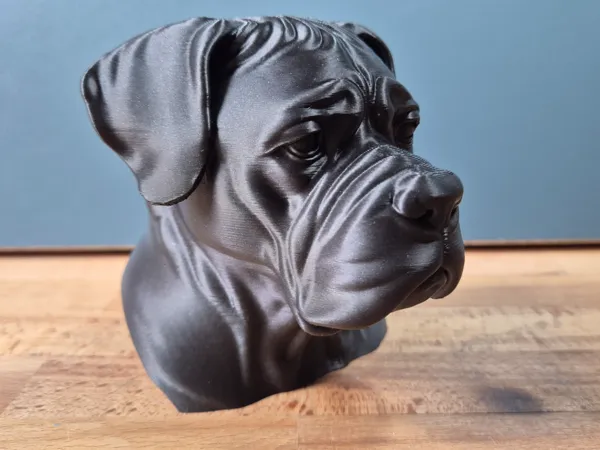https://makerworld.bblmw.com/makerworld/model/US60fa7169c0559e/design/2025-05-24_002a8a4cb457f.jpg