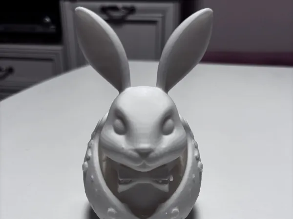 https://makerworld.bblmw.com/makerworld/model/US60fa82363b5ea3/design/2025-02-09_7a466c6c96724.jpg