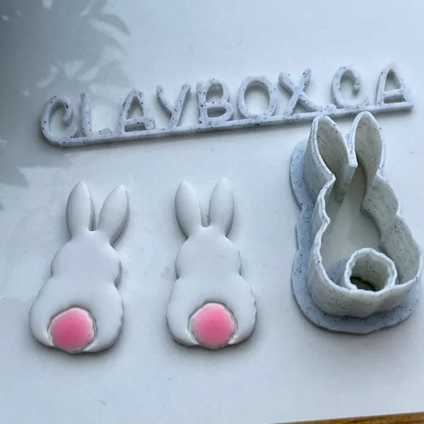 https://makerworld.bblmw.com/makerworld/model/US6100561bf15656/design/2024-02-24_2ad29f0eced538.jpeg