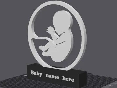 3D Baby in Uterus Decoration with Personalized Name