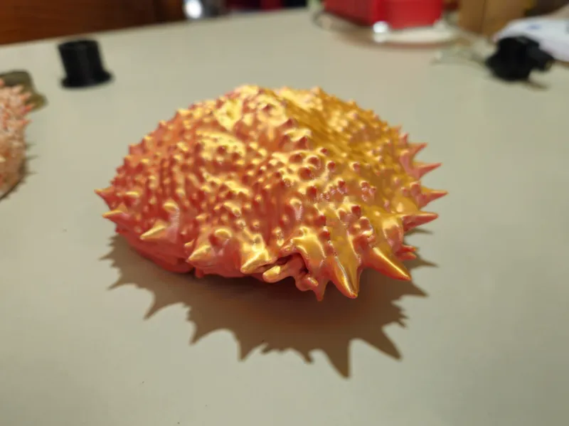 realistic spider crab shell 3d scan model