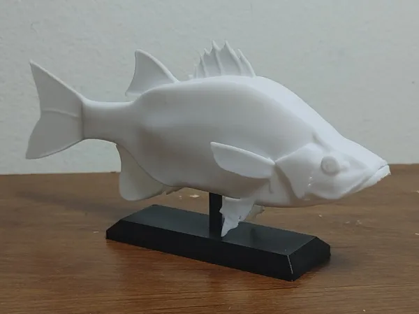https://makerworld.bblmw.com/makerworld/model/US6106a9740b1622/design/2025-03-30_0522ed44ee5d9.jpg