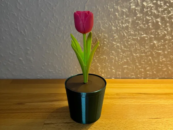 https://makerworld.bblmw.com/makerworld/model/US610c077c22d18b/design/2d42df9eeec5d05f.jpeg