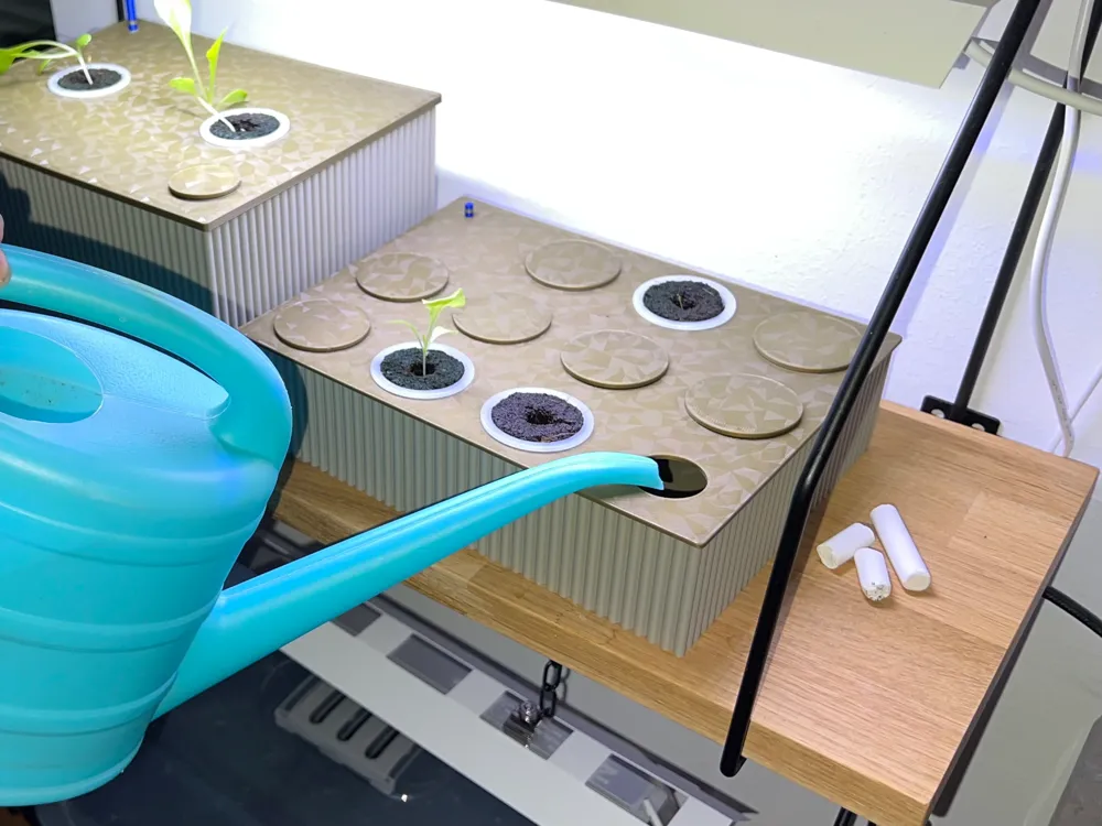 Fresh Look at Hydroponic Seed Starting System Kratky Method By Jocke Och Laura