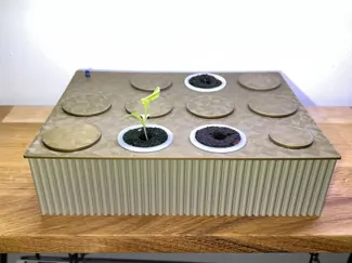 Hydroponic Seed Starting System (Kratky Method)