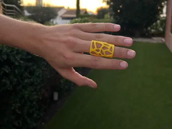 https://makerworld.bblmw.com/makerworld/model/US6119c29bad377e/design/2024-09-14_2746f36b1b39e.jpg