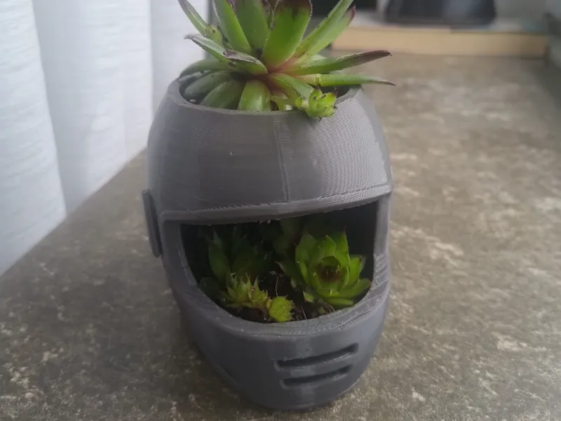Motorcycle Helmet Planter - Desktop Succulent Pot