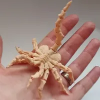 Facehugger miniature articulé — photo 3