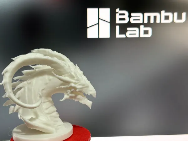 https://makerworld.bblmw.com/makerworld/model/US611d0fba25017b/design/2024-11-23_bfe2305b8024b.jpg