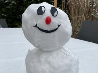Resusable Snowman Face Set