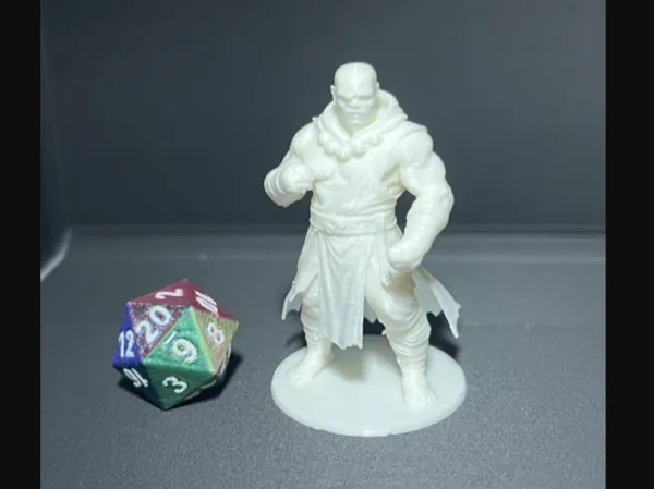 https://makerworld.bblmw.com/makerworld/model/US612ebd678fb903/design/96d729470020db00.png
