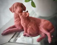 Chien et chat enlacés — photo 1