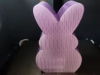 0.08mm layer, 2 walls, 15% infill