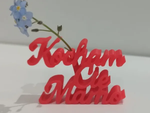 https://makerworld.bblmw.com/makerworld/model/US6138a331a743e9/design/2025-05-01_eb34c10285d1f.jpg