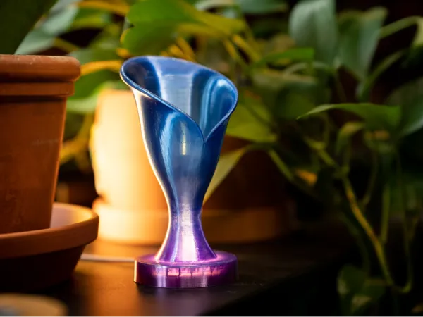 https://makerworld.bblmw.com/makerworld/model/US6138f99e107b1e/design/2025-05-06_8d8914ba10e56.jpg