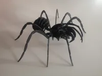 Araignée 3D — photo 1
