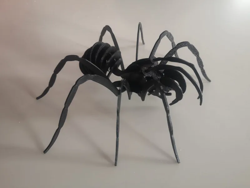 Spider 3D