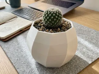 Minimalist Desktop Cactus Pot