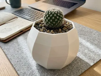 Minimalist Desktop Cactus Pot
