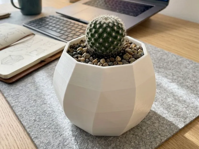 Minimalist Desktop Cactus Pot