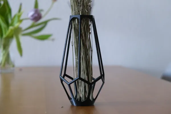 https://makerworld.bblmw.com/makerworld/model/US6142ae3a1d4e01/design/2024-03-25_64226e6168036.jpeg