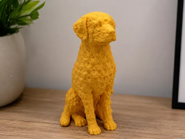 https://makerworld.bblmw.com/makerworld/model/US614f99e4d3a770/design/a6045a583964bf12.png