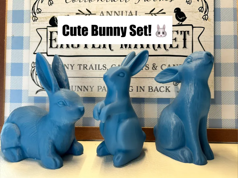 Cute Bunny Set