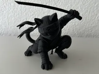 Ninja Cat Warrior | Samurai Kitten with Katana