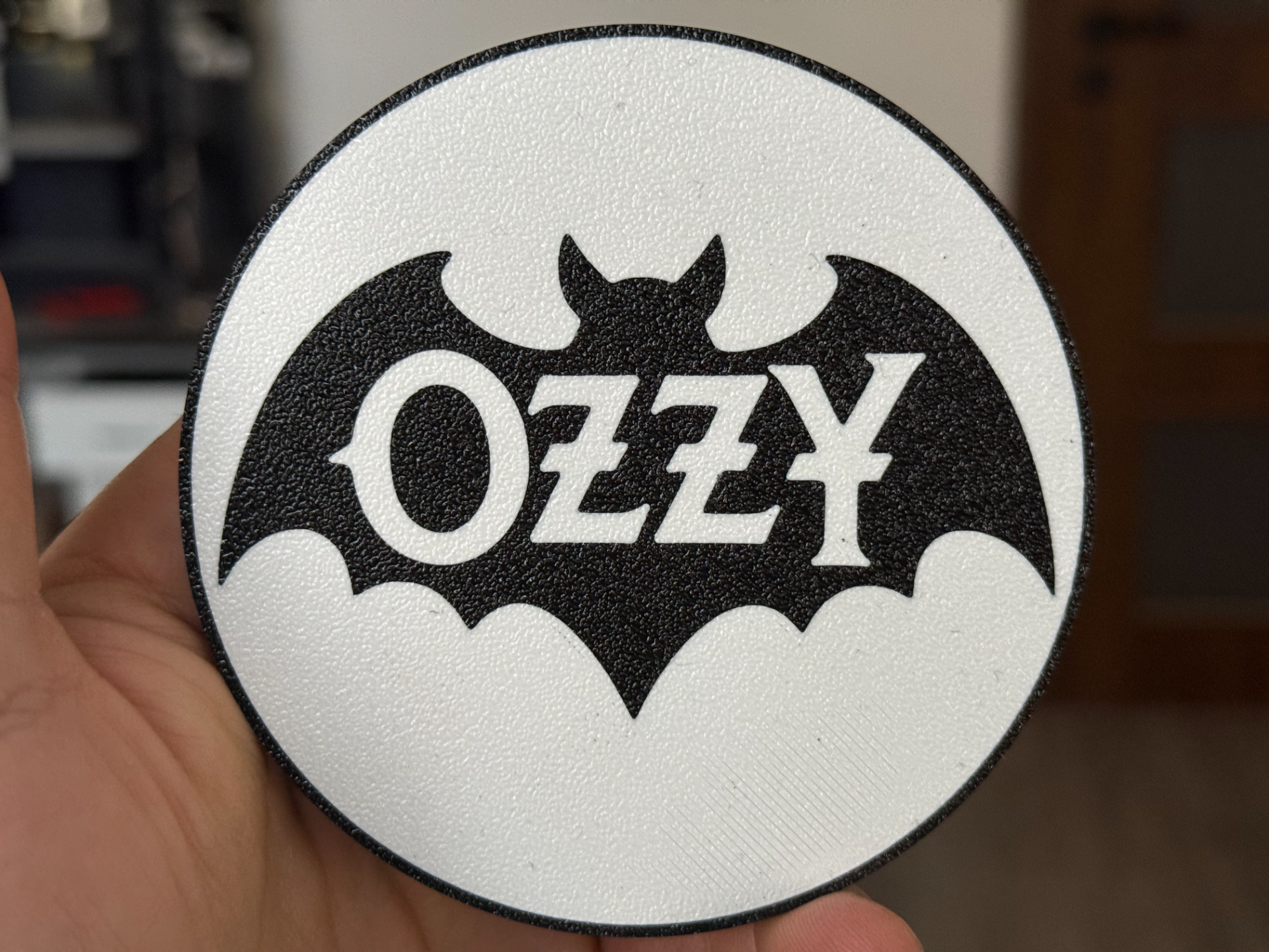 Ozzy Bat coaster