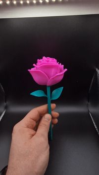 0.2mm layer, 2 walls , ( Rose 5%,infill, stem 20% infill)
