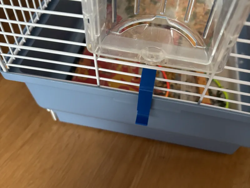 Bird's cage lock