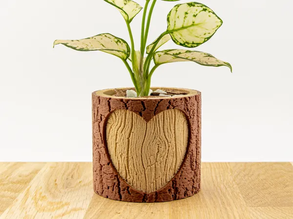 https://makerworld.bblmw.com/makerworld/model/US616b71960c4ead/design/2026-01-18_244d56482d9ff8.webp
