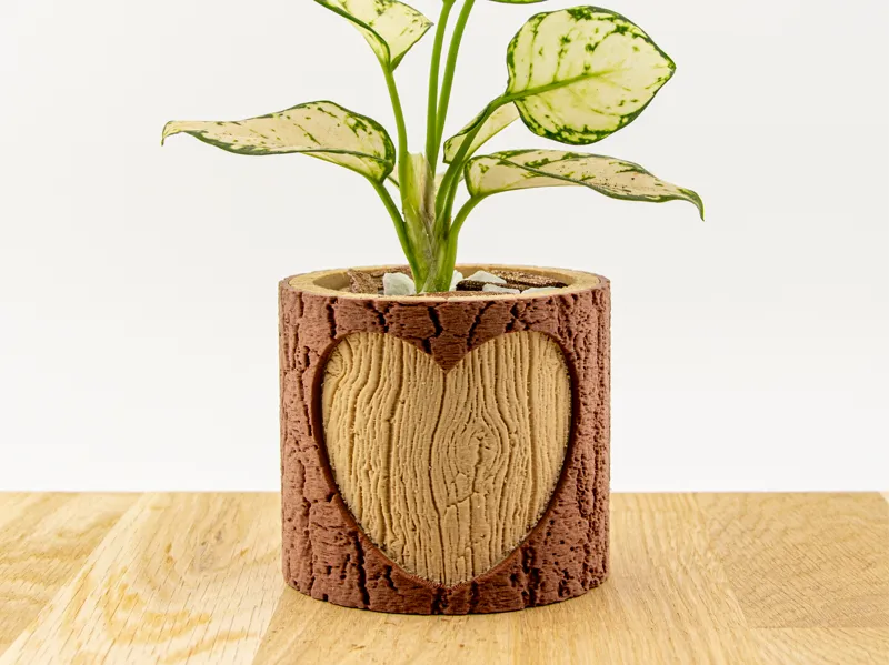 Pot de fleur - L’Arbre Cœur