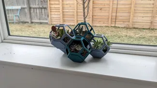Plantygon