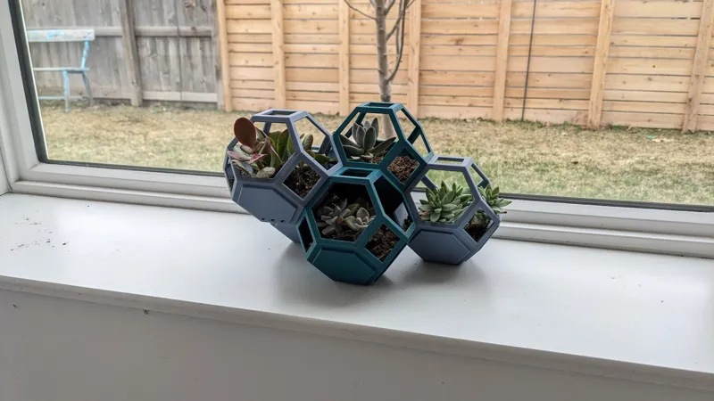 Plantygon