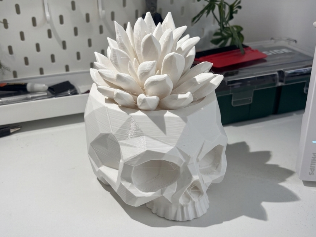 Low-Poly Skull Succulent | Modern Gothic Decor