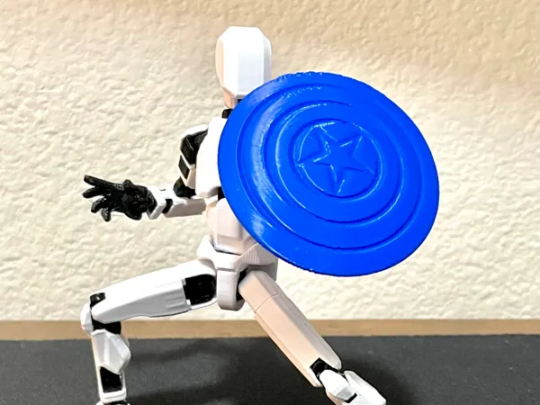 https://makerworld.bblmw.com/makerworld/model/US616e2cf494b516/design/2024-08-13_48e501313ae15.jpg
