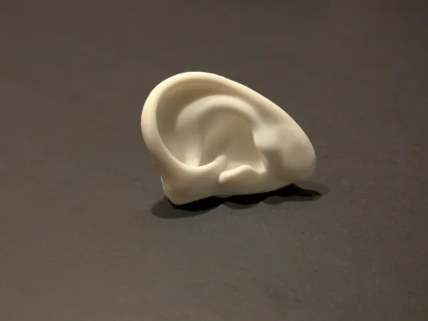 https://makerworld.bblmw.com/makerworld/model/US616f3da4364185/design/2025-01-16_0846c2f5708f9.jpg