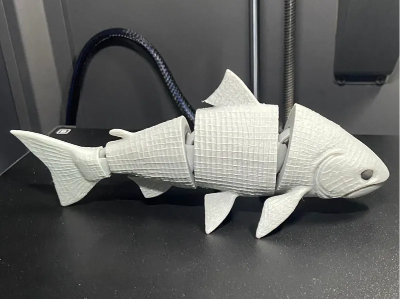 Articulated Salmon.