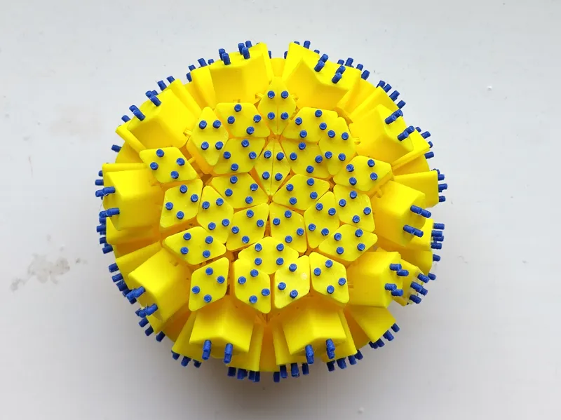 Sammy the Flexi Sea Urchin
