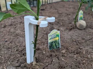 Garden Spike