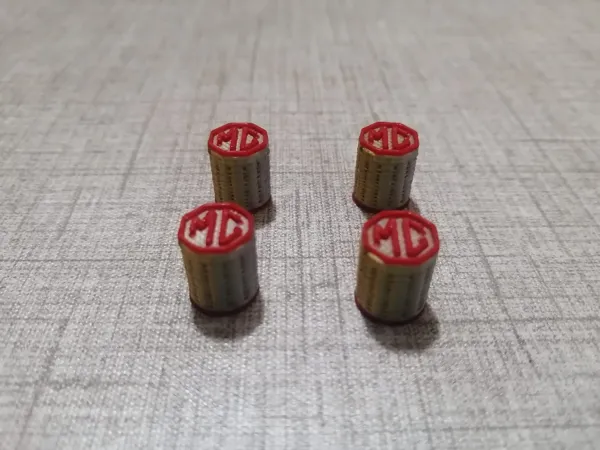 https://makerworld.bblmw.com/makerworld/model/US61797664c8989/design/2024-08-10_360631e4954698.jpg